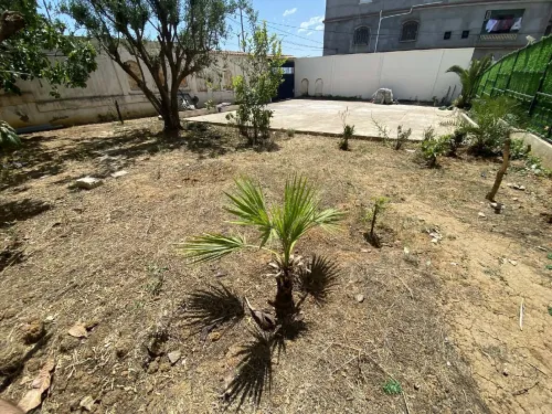 Vente Terrain Alger Saoula