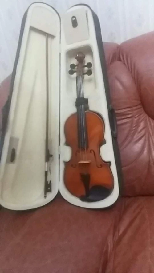 Violon 