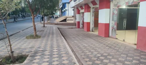 Location Local Saïda Saida