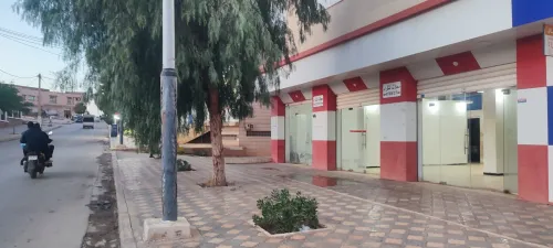 Location Local Saïda Saida