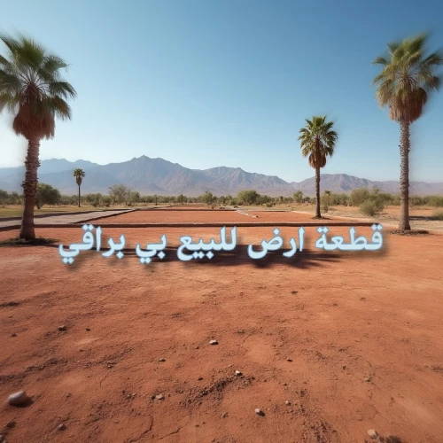 Vente Terrain Alger Baraki