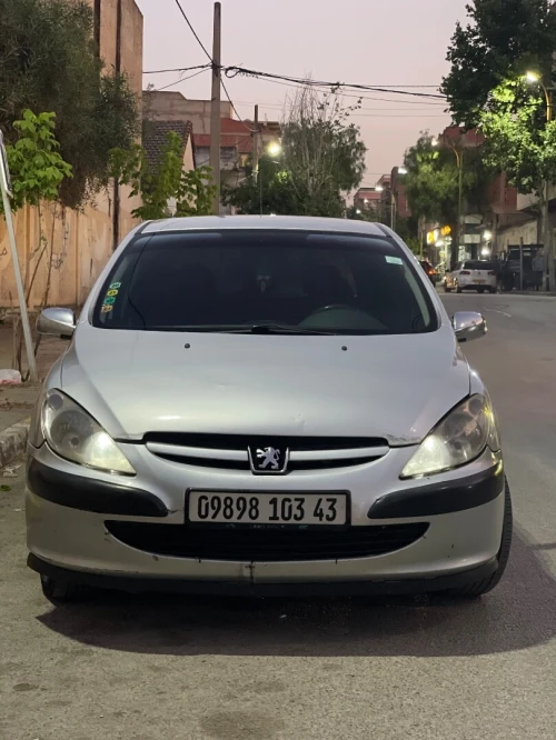 Peugeot 307 2003 307