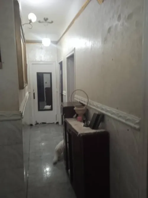 Vente Appartement F4 Alger Belouizdad