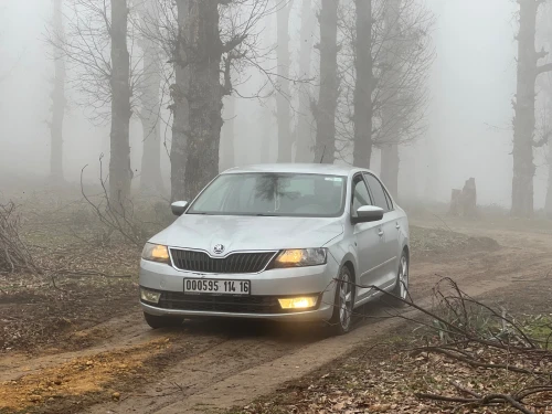 Skoda Rapid 2014 Rapid