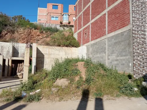 Vente Terrain Skikda Skikda
