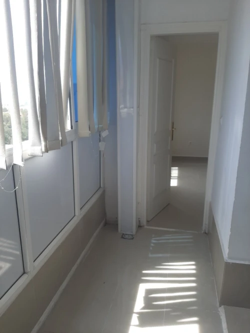 Location Appartement F3 Blida Blida 4