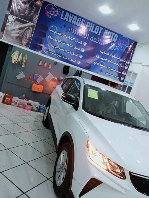 Geely Coolray 2025 Manuel