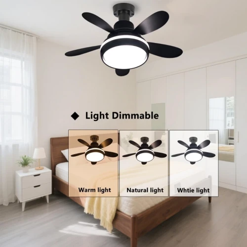 Lampe et Ventilateur de plafond silencieux avec télécommande 60W 220V Noir