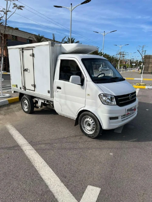 DFSK Frigo Mini Truck 2024