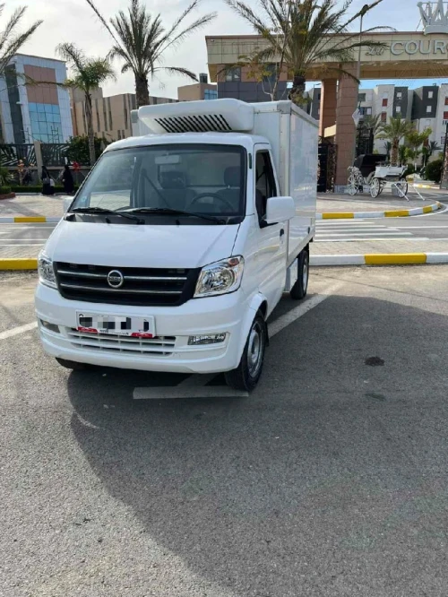 DFSK Frigo Mini Truck 2024