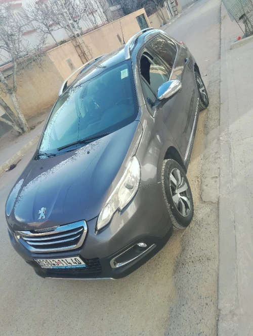 Peugeot 2008 2014 Erg