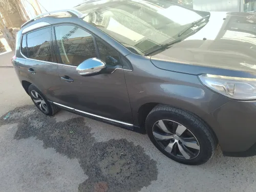 Peugeot 2008 2014 Erg