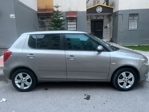 Skoda Fabia 2015 Visage