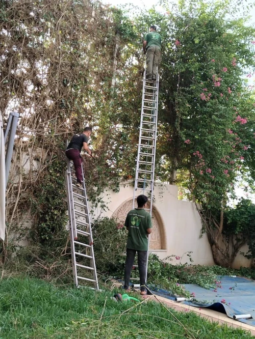 jardinage-élagage-abattage