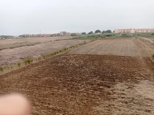 Vente Villa Alger Bordj el bahri