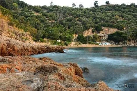 Location vacances Appartement F4 Skikda Collo