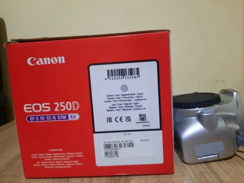 CAMERA CANON 250D (GRIS) STM