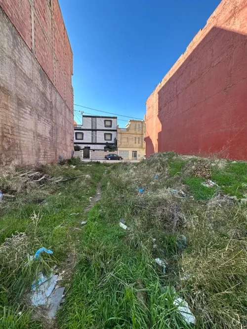 Vente Terrain Tlemcen Tlemcen
