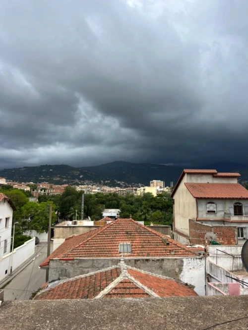 Vente Villa Blida Blida