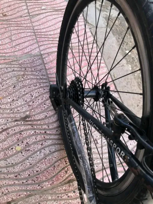 victoria velo 2025