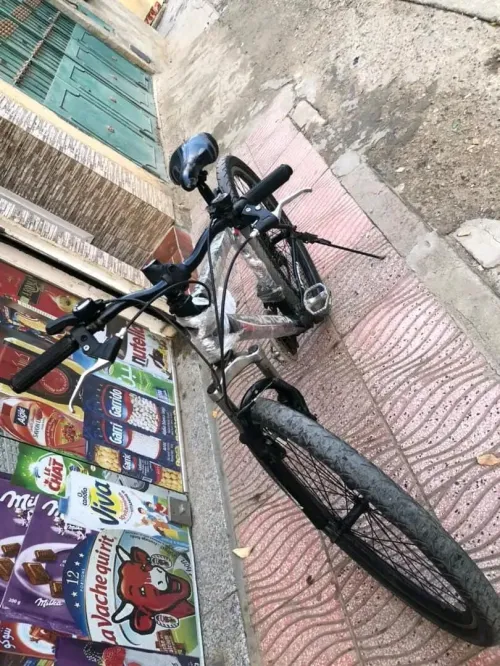 velo
