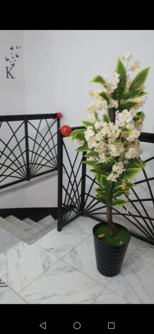 Location Appartement Niveau de villa F6 Constantine El khroub