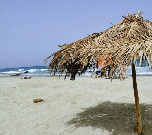 Vente Terrain Tizi Ouzou Azeffoun