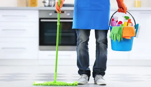 Nettoyage, Désinfection Et Jardinage, femme de ménage, jardinier, société d'entretien