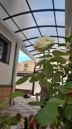  tinda policarbonette