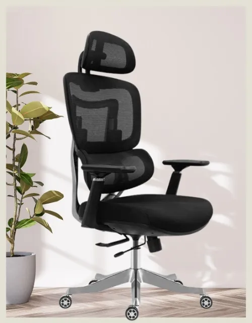 CHAISE ERGONOMIQUE