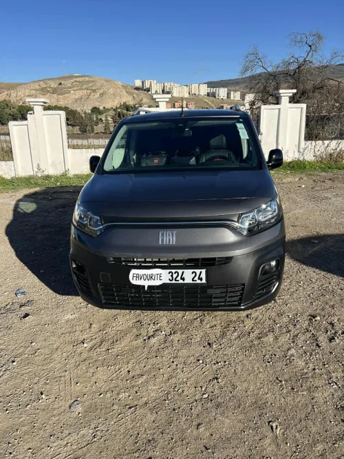 Fiat Doblo 2024 professional