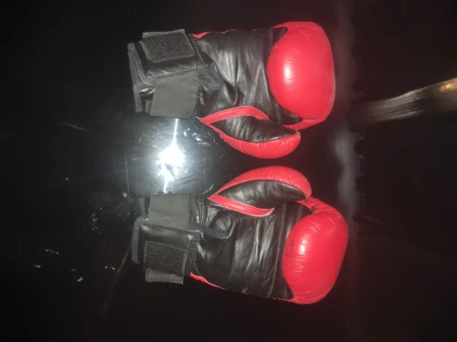 BOXING GLOVES 10-OZ