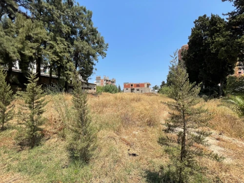 Vente Terrain Alger Cheraga 2