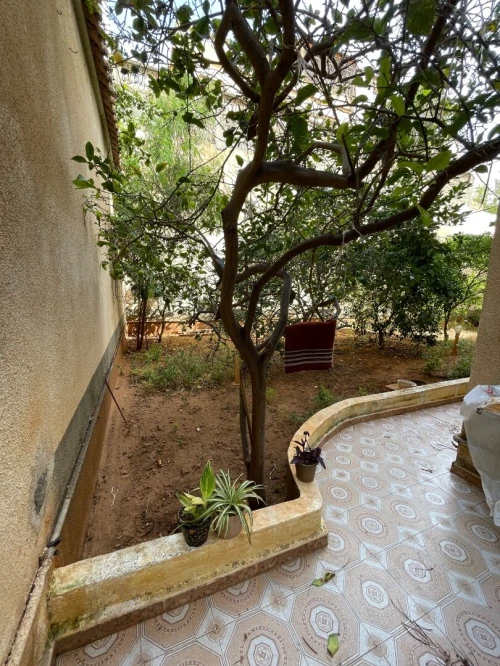 Vente Villa Alger Cheraga
