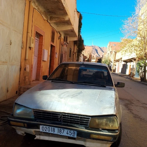 Peugeot 505 1987 505