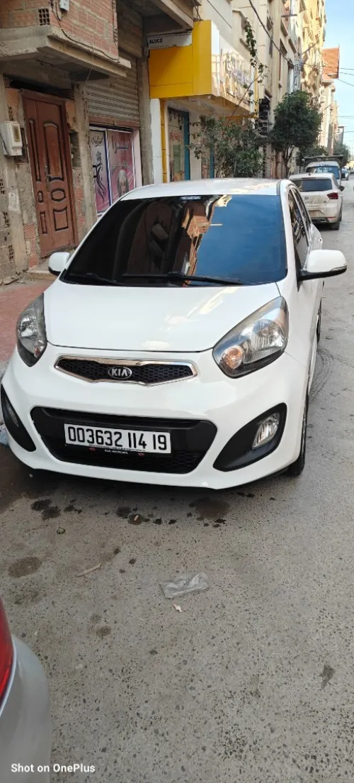 Kia Picanto 2014 Bob