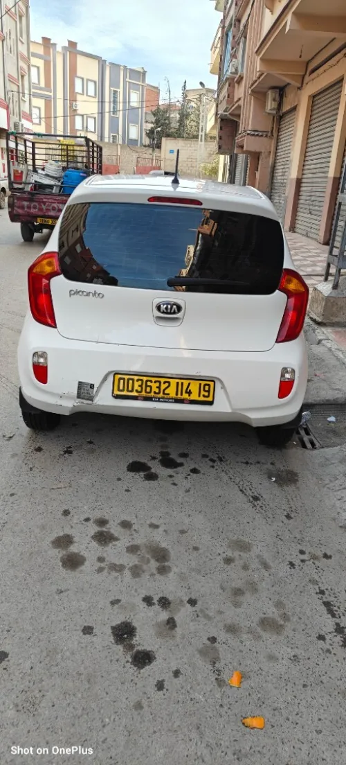 Kia Picanto 2014 Bob