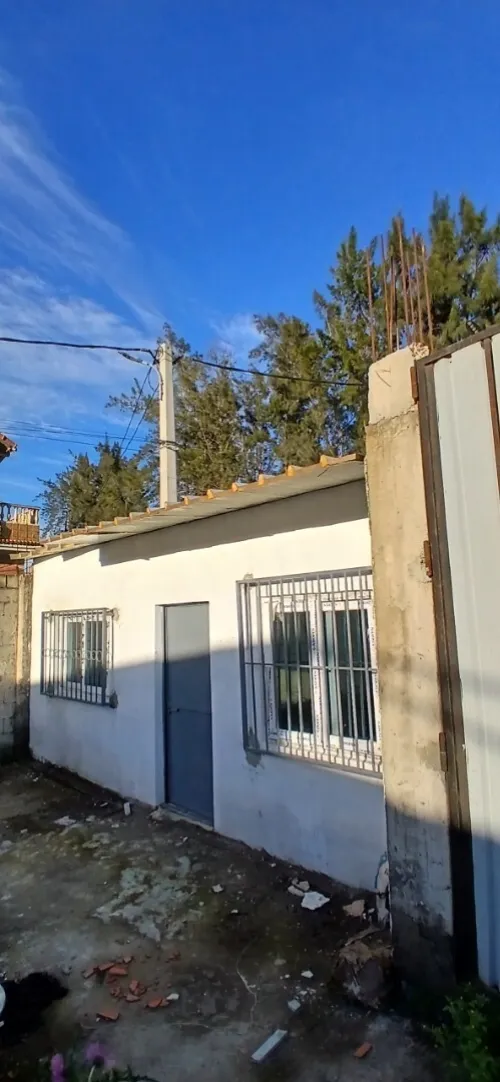 Location Terrain Blida Beni tamou