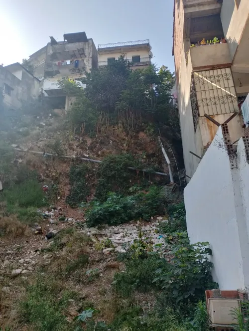 Vente Terrain Alger El biar
