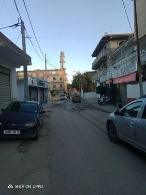 Vente Carcasse Blida Boufarik