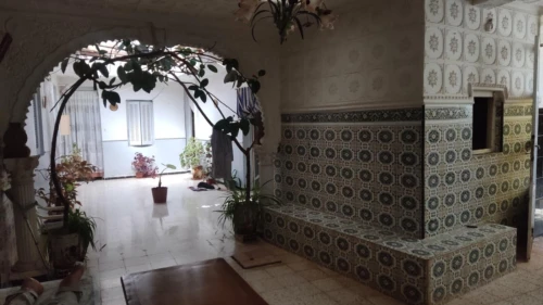 Vente Terrain Tlemcen Tlemcen