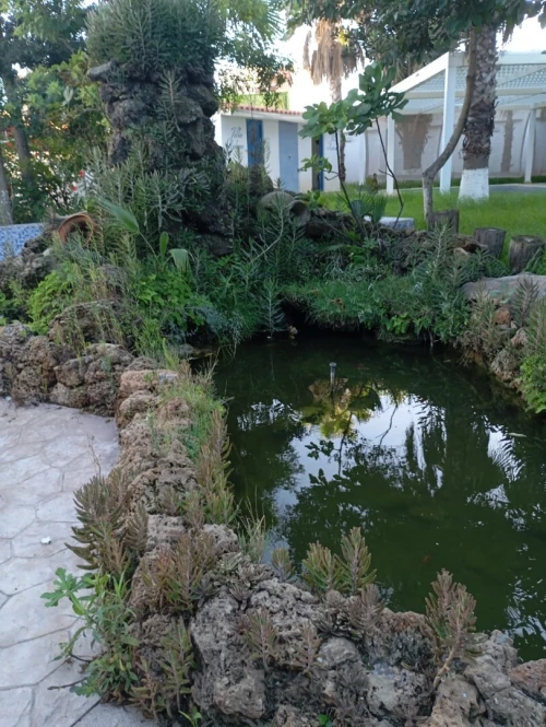 Supresseur + Bassin à poisson