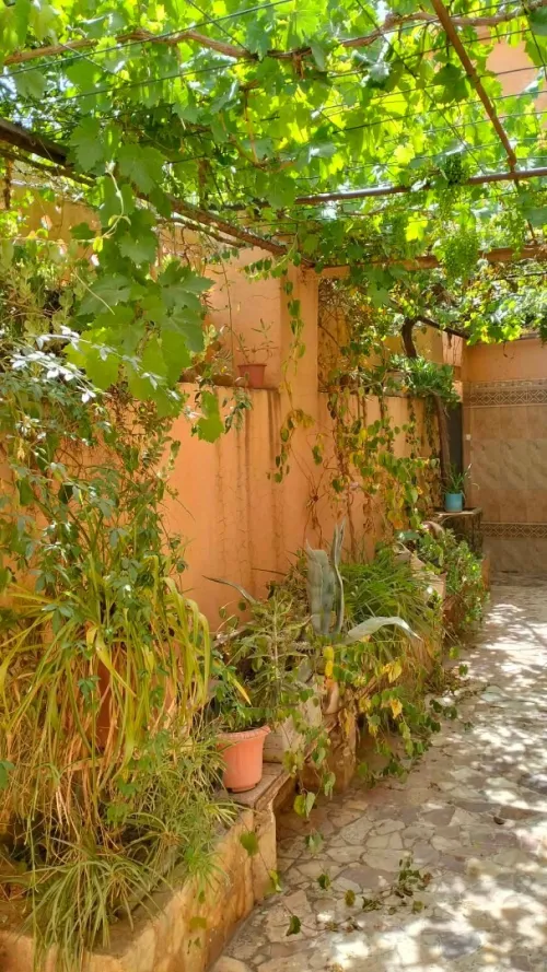 Vente Villa Naâma Mecheria
