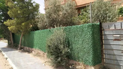 Vente Villa Naâma Mecheria