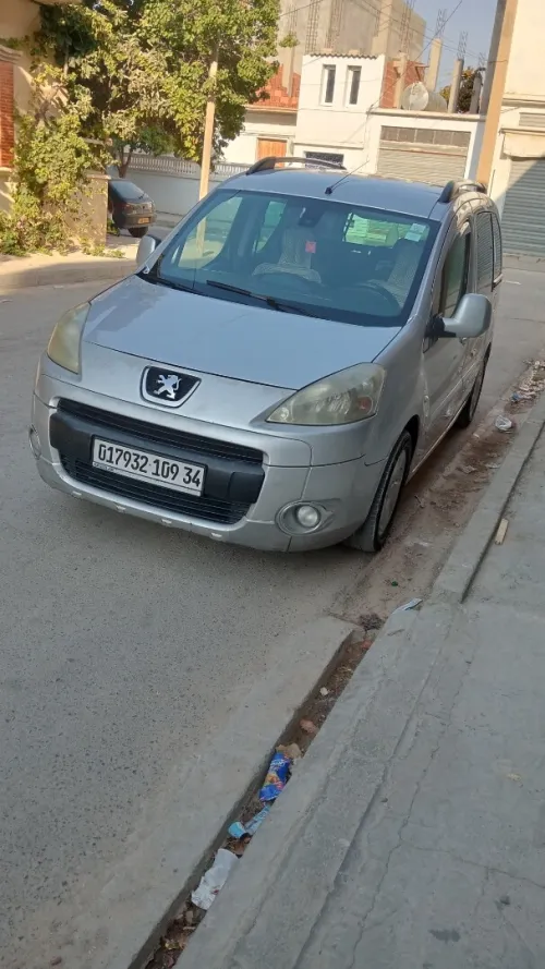 Peugeot Partner 2009 Tepee
