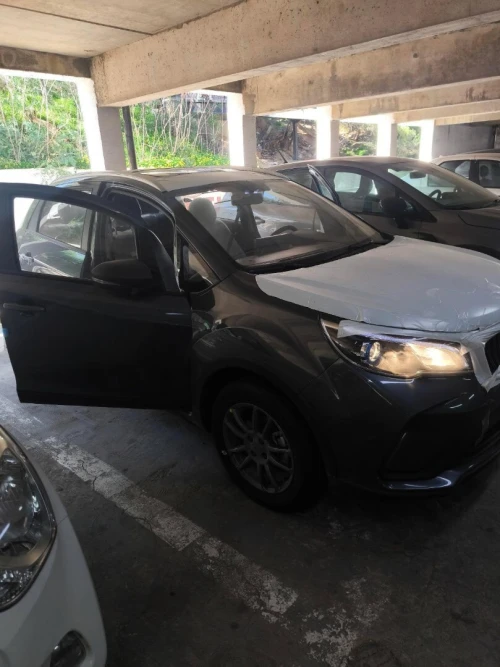 Livan X3 Pro  2025 International Grise