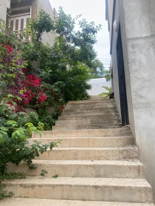 Location Villa Alger Hydra