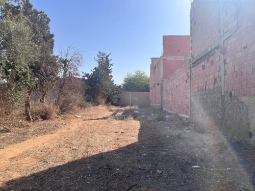 Vente Terrain Mostaganem Hassi maameche