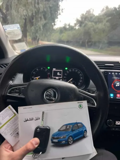 Skoda Fabia 2016 