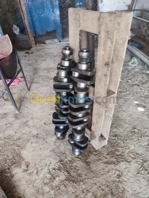 فلبروكة شاكمان 